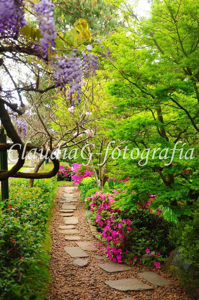 Jardín Japonés