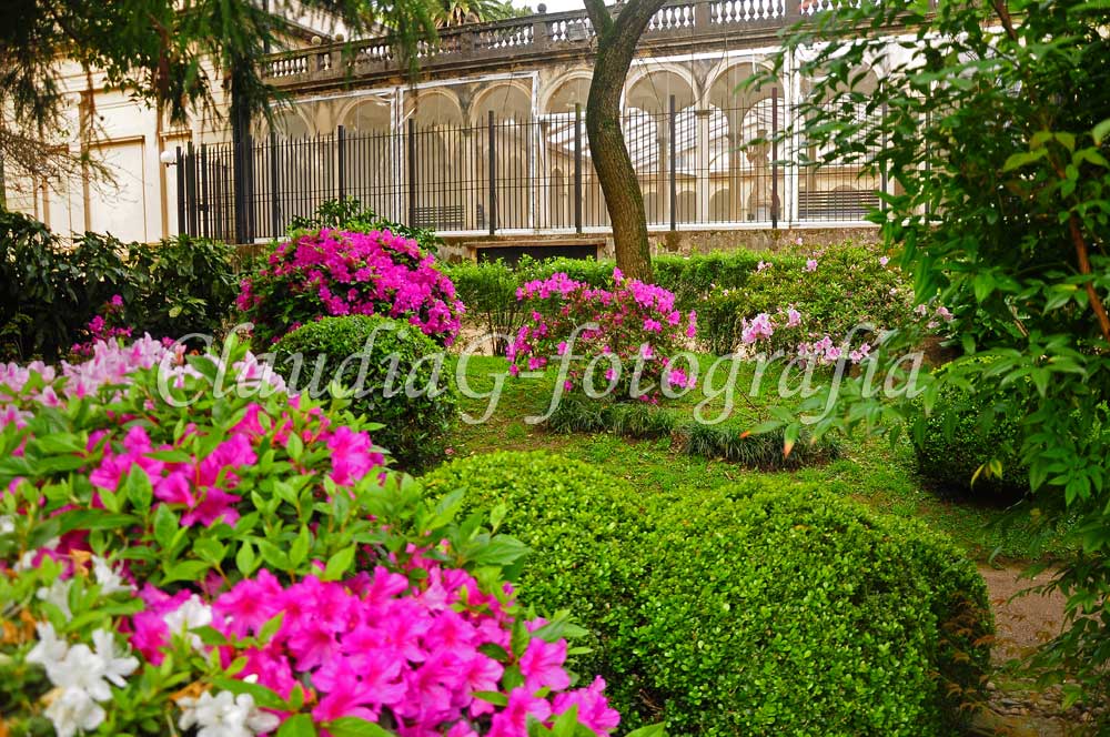 Jardín Japonés