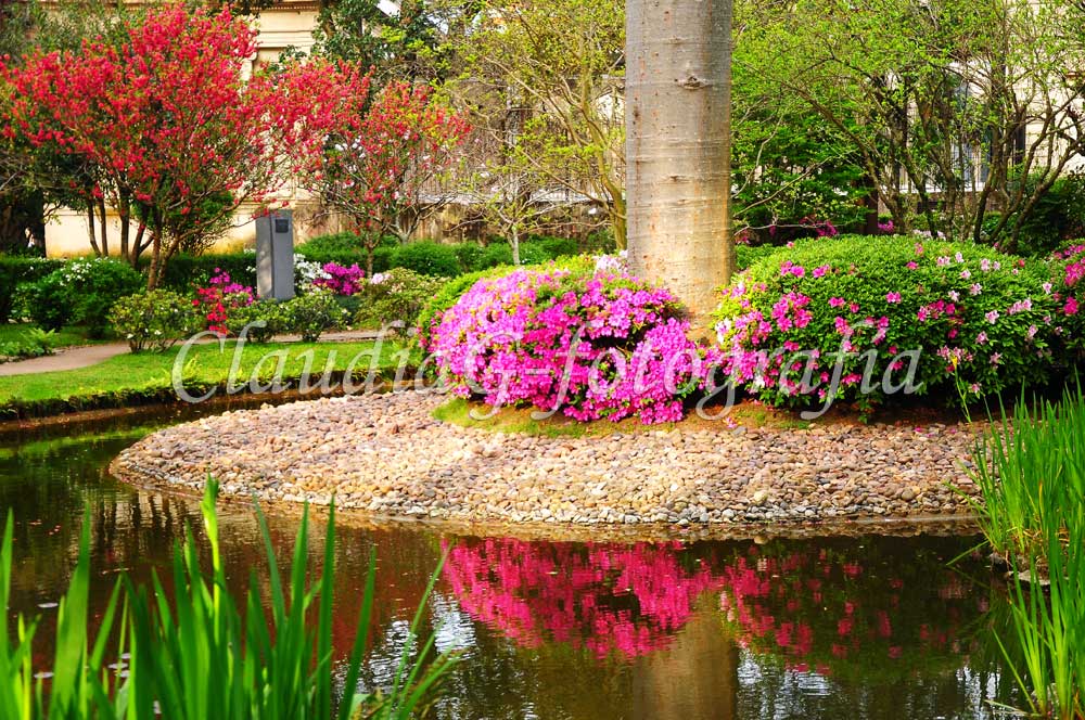 Jardín Japonés