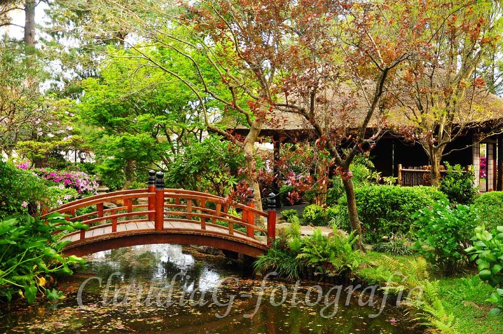 Jardín Japonés