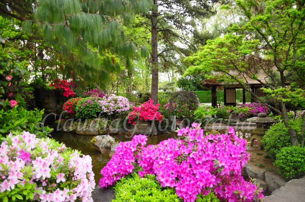 Jardín Japonés
