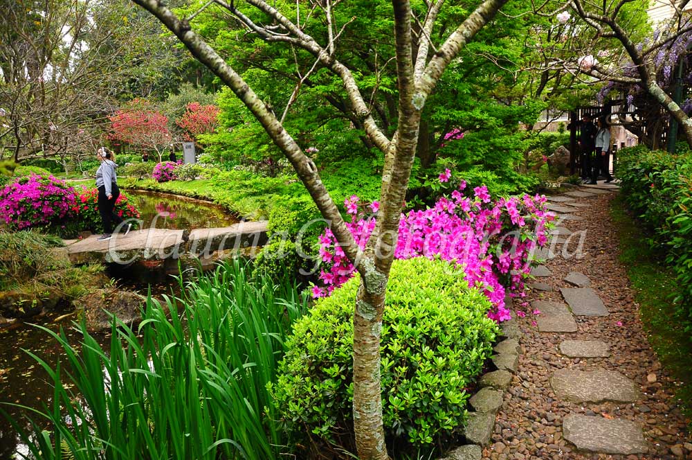 Jardín Japonés