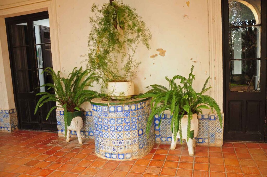 Centro Cultural José Enrique Rodó