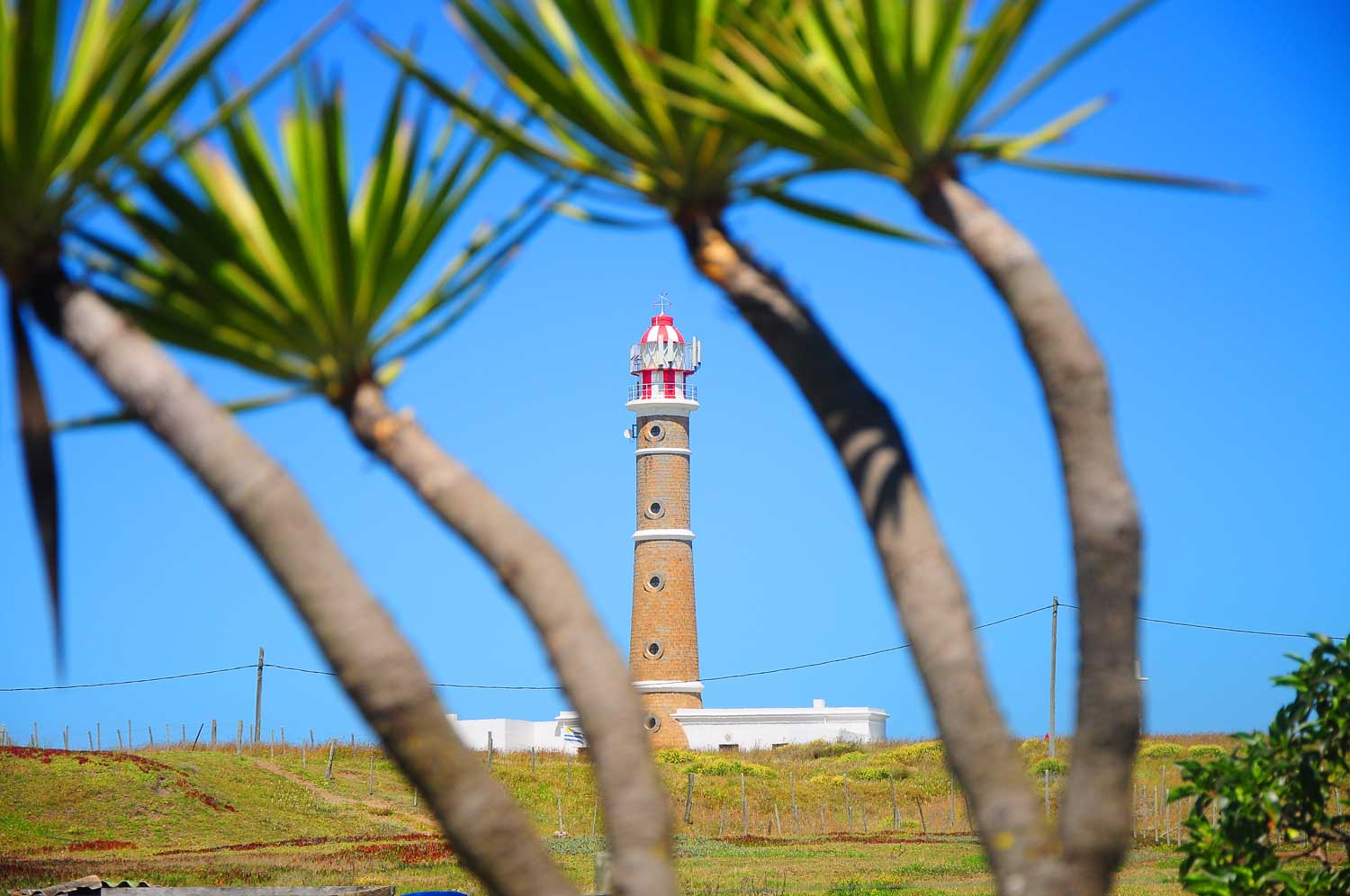 Cabo Polonio