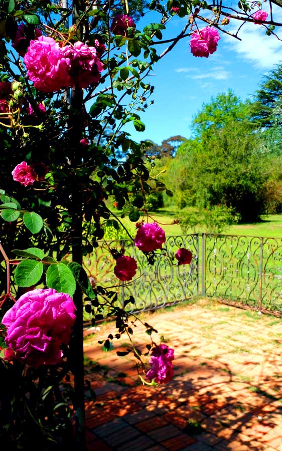 Quinta Capurro