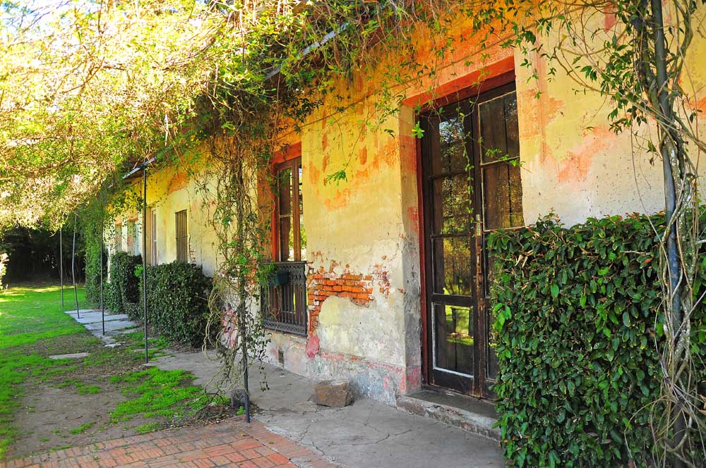 Quinta Capurro